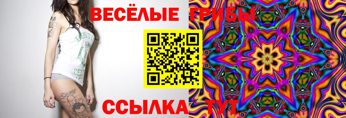 Калач-на-Дону  Галлюциногенные грибы мицелий  Галлюциногенные грибы Psilocybe  Вход с VPN 